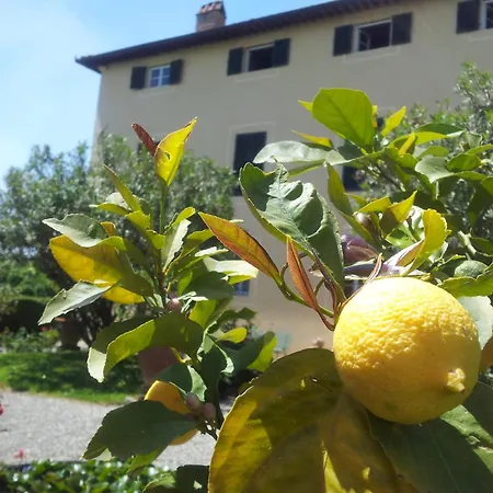 Fattoria Gambaro Di Petrognano-2